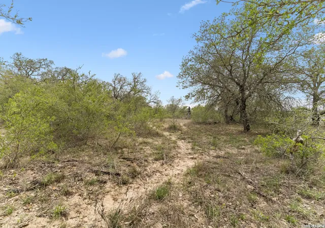 Homes for sale in Somerset, TX | 174 Adcock Lane, Somerset, TX 78069 | MLS# 1971157