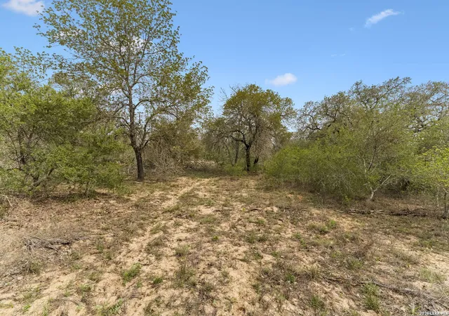 Homes for sale in Somerset, TX | 174 Adcock Lane, Somerset, TX 78069 | MLS# 1971157