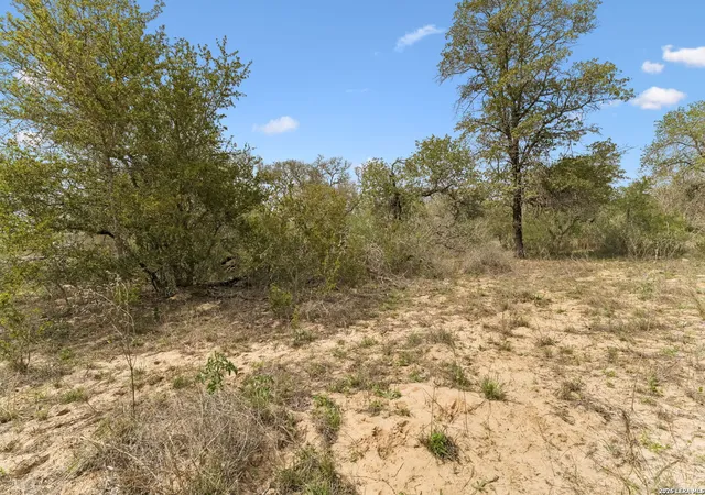 Homes for sale in Somerset, TX | 174 Adcock Lane, Somerset, TX 78069 | MLS# 1971157