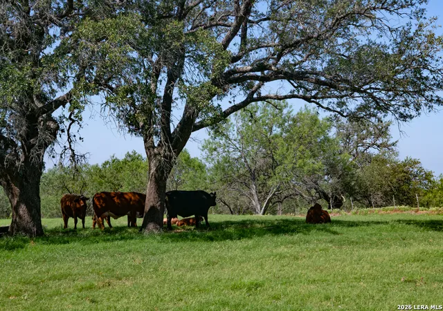 Photo 3 of House for sale at 13587 Us Hwy 87 S, Adkins, TX 78101 | MLS# 1971372 | Listing updated on 2026-09-17