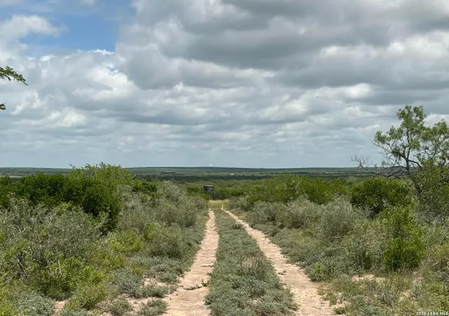 Photo 2 of Land for sale at 0 Off Hwy 59, San Diego, TX 78384 | MLS# 1971636 | Listing updated on 2026-07-17