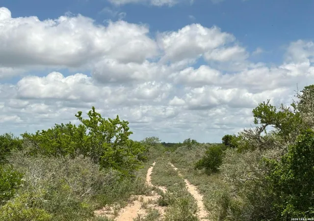 Photo 4 of Land for sale at 0 Off Hwy 59, San Diego, TX 78384 | MLS# 1971636 | Listing updated on 2026-07-17