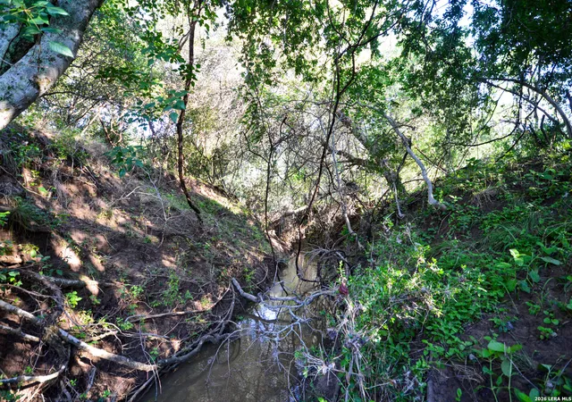 Photo 3 of Land for sale at Tbd Cr 426, Pleasanton, TX 78064 | MLS# 1971772 | Listing updated on 2026-06-12