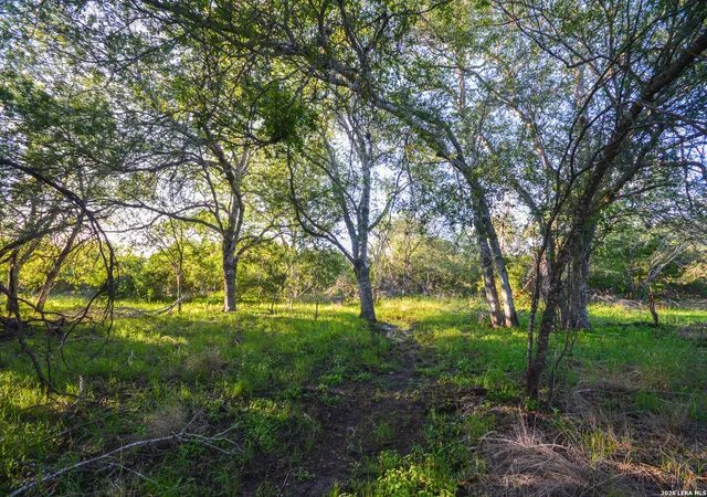 Photo 3 of House for sale at Tbd Cr 426, Pleasanton, TX 78064 | MLS# 1971772 | Listing updated on 2026-06-12