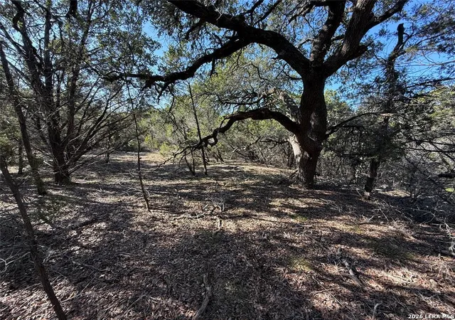 Photo 3 of Land for sale at 105 S Park Rd, Wimberley, TX 78676 | MLS# 1972086 | Listing updated on 2026-06-13