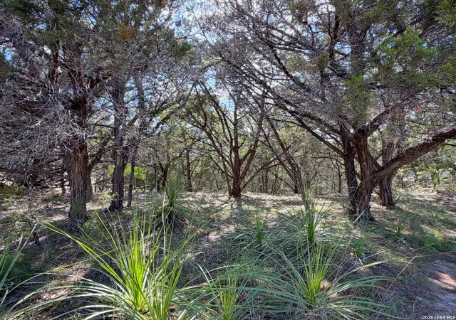 Photo 1 of Land for sale at 2021 Ronda Ct, Canyon Lake, TX 78133 | MLS# 1972338 | Listing updated on 2026-10-25