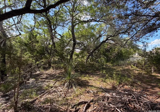 3rd image of 2021 Ronda Ct, Canyon Lake, TX 78133 | MLS# 1972338
