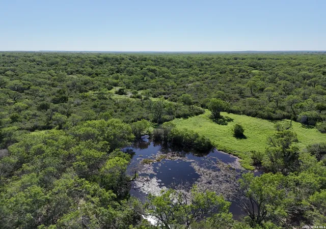 Homes for sale in Falls City, TX | 2349 Cr 416, Falls City, TX 78113 | MLS# 1972443