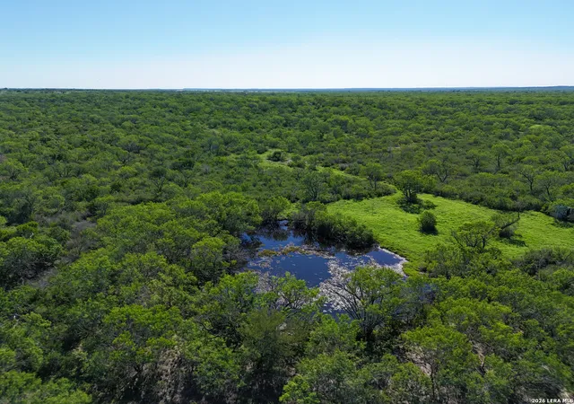 Homes for sale in Falls City, TX | 2349 Cr 416, Falls City, TX 78113 | MLS# 1972443