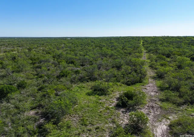 Homes for sale in Falls City, TX | 2349 Cr 416, Falls City, TX 78113 | MLS# 1972443