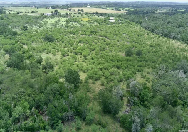 3rd image of 0 Fm 3353, Kingsbury, TX 78155 | MLS# 1972774