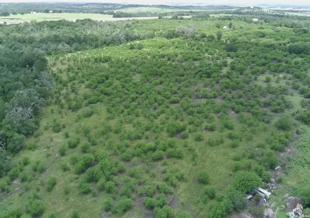 5th image of 0 Fm 3353, Kingsbury, TX 78155 | MLS# 1972774