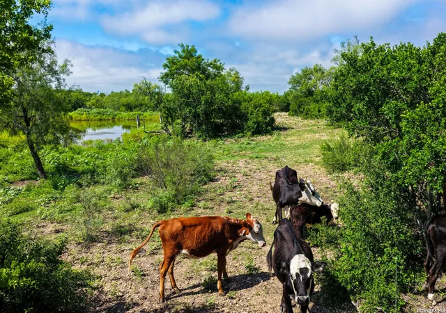 3rd image of 000 Private Road 5754, Castroville, TX 78009 | MLS# 1973041