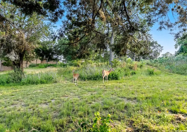 Photo 3 of Sale Pending at 1487 & 1501 Stagecoach Dr, San Antonio, TX 78133 | MLS# 1973249 | Listing updated on 2026-08-03