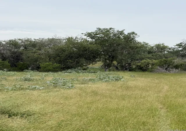 1st image of 6038 County Road 405, Floresville, TX 78114 | MLS# 1973409