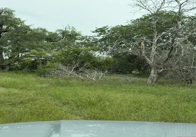 3rd image of 6038 County Road 405, Floresville, TX 78114 | MLS# 1973409