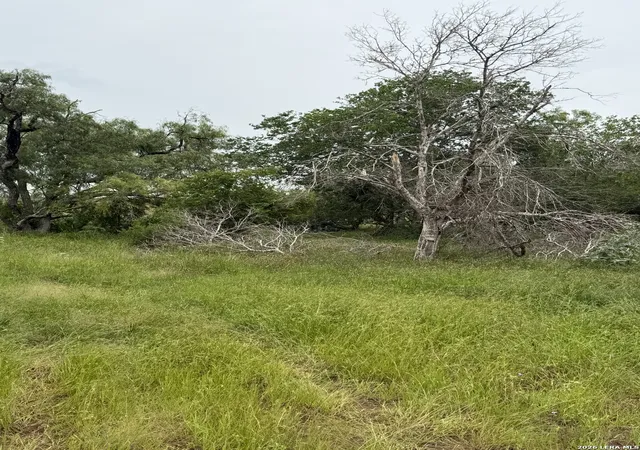 4th image of 6038 County Road 405, Floresville, TX 78114 | MLS# 1973409