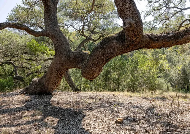 Photo 3 of Land for sale at 7622 Ramble Rdg, San Antonio, TX 78266 | MLS# 1973485 | Listing updated on 2026-06-17