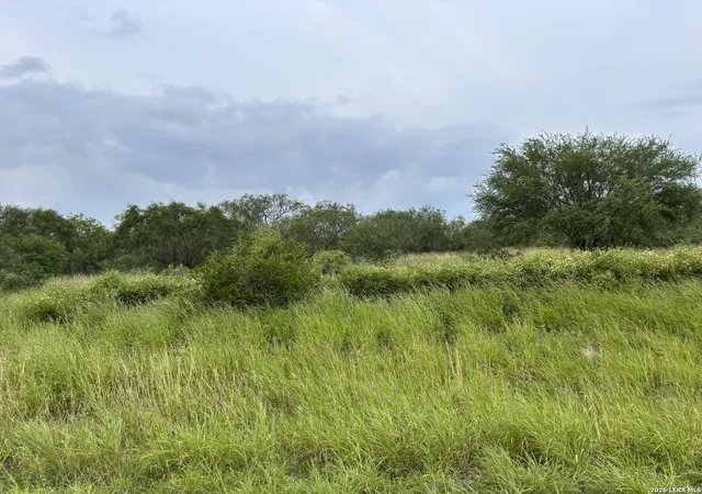 Photo 1 of Land for sale at 0 Farm To Market Rd 3249, Realitos, TX 78376 | MLS# 1973633 | Listing updated on 2026-06-18