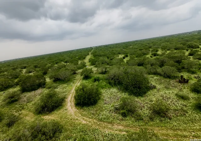 Photo 2 of Land for sale at 0 Farm To Market Rd 3249, Realitos, TX 78376 | MLS# 1973633 | Listing updated on 2026-06-18