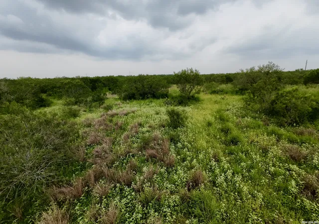 Photo 4 of House for sale at 0 Farm To Market Rd 3249, Realitos, TX 78376 | MLS# 1973633 | Listing updated on 2026-06-18