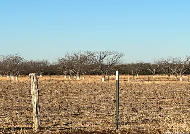 5th image of Lot C Fm 1908, Quemado, TX 78877 | MLS# 1979151