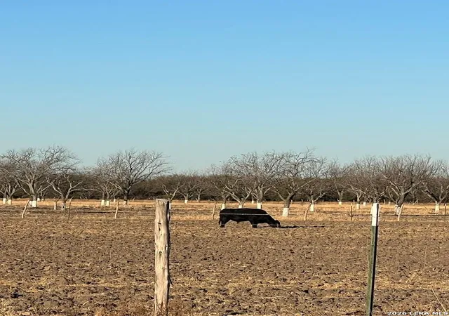 5th image of Lot B Fm 1908, Quemado, TX 78877 | MLS# 1979152