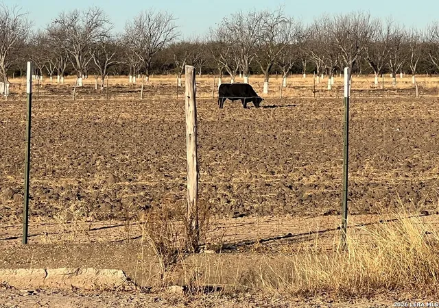 4th image of Lot A Fm 1908, Quemado, TX 78877 | MLS# 1979153