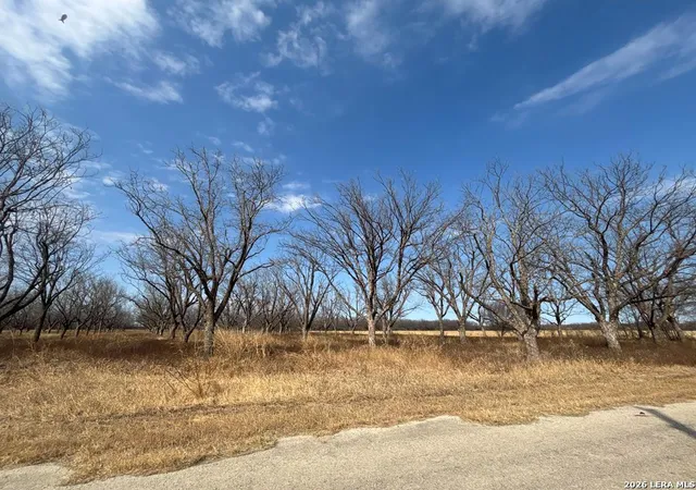 Land for sale at 330 Stockley Rd, Quemado, TX 78877 | MLS# 1981491