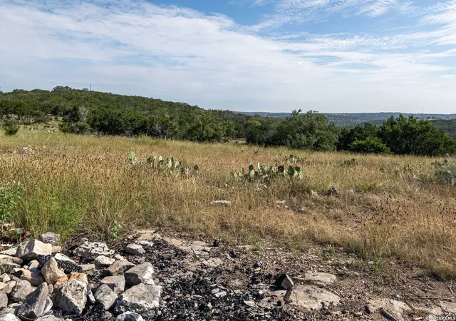 78th image of 290 Japonica Road, Hunt, TX 78024 | MLS# 1990366