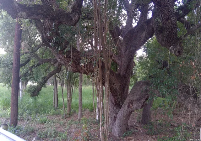 Photo 2 of Land for sale at 483 Oak Knoll Dr, San Antonio, TX 78228 | MLS# 1990611 | Listing updated on 2026-06-21