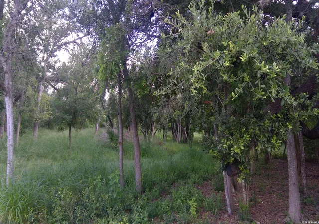 Photo 3 of Land for sale at 483 Oak Knoll Dr, San Antonio, TX 78228 | MLS# 1990611 | Listing updated on 2026-06-21