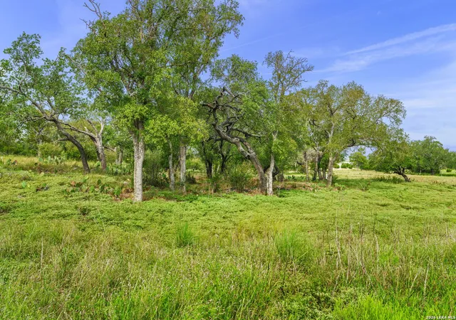 Photo 2 of Single family home for sale at Lot 85 Axis Circle, Fredericksburg, TX 78624 | MLS# 1991162 | Listing updated on 2026-08-20