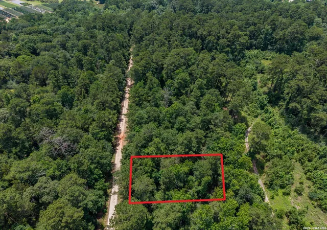 Homes for sale in Willis, TX | Tbd Zapata Way, Willis, TX 77378 | MLS# 1991702