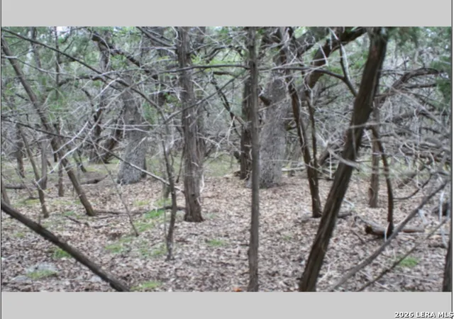 Photo 3 of Land for sale at 848 Fawn River Dr, Spring Branch, TX 78070 | MLS# 1991749 | Listing updated on 2026-09-02