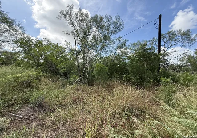 28th image of 12579 Fm 2779, Moore, TX 78057 | MLS# 1991826