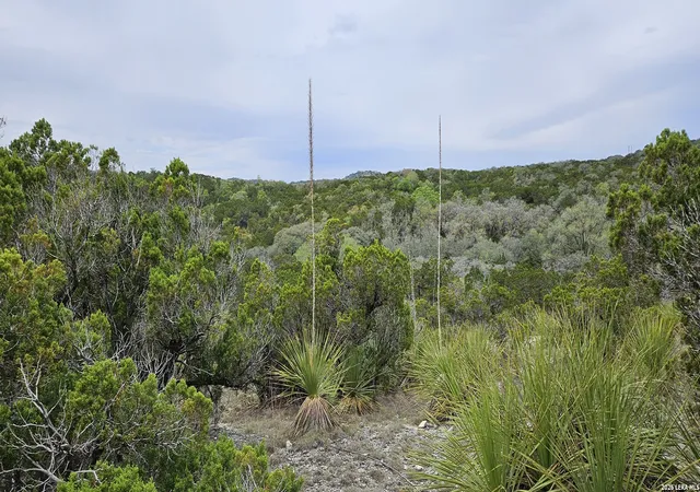 Photo 2 of Land for sale at 21207 Scenic Loop, Helotes, TX 78023 | MLS# 1991856 | Listing updated on 2026-08-08