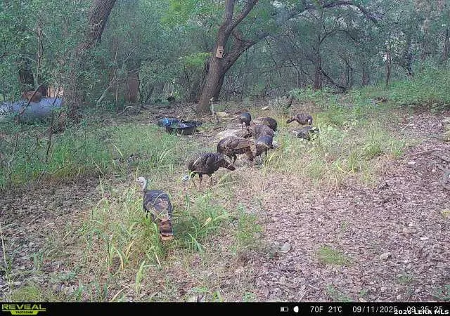 Photo 3 of Land for sale at 21207 Scenic Loop, Helotes, TX 78023 | MLS# 1991856 | Listing updated on 2026-08-08