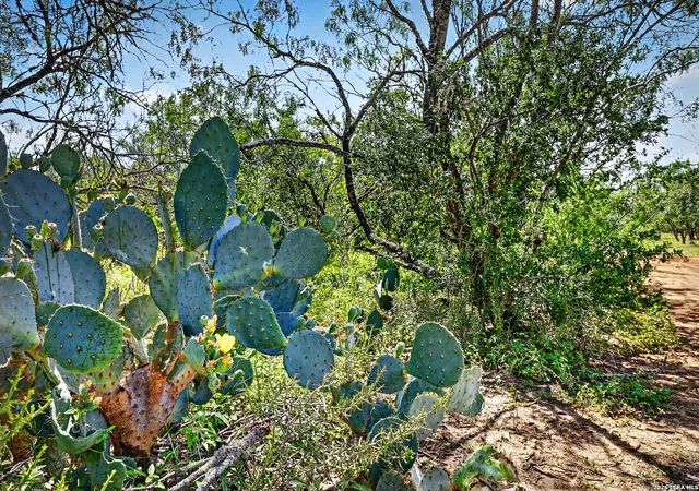 Photo 3 of House for sale at 622 County Road 460, Stockdale, TX 78160 | MLS# 1991914 | Listing updated on 2026-08-31