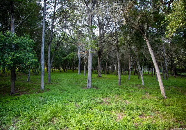 4th image of 19514 Windswept Cv, San Antonio, TX 78266 | MLS# 1992222