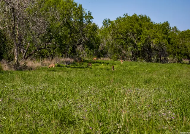 Photo 2 of Land for sale at 18000 Fm 791, Campbellton, TX 78008 | MLS# 1992522 | Listing updated on 2026-06-27