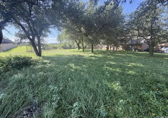 4th image of Tbd Old Austin Rd, Selma, TX 78154 | MLS# 1992561
