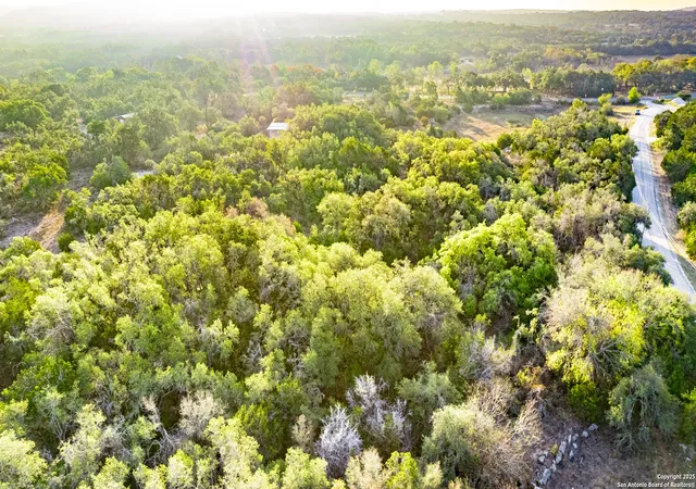 33rd image of 184 Peyton Colony, Blanco, TX 78606 | MLS# 1992693