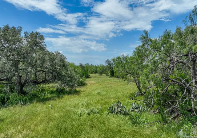 1st image of 2880 Cr 307, Jourdanton, TX 78026 | MLS# 1992981