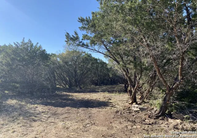 4th image of 000 Private Rd 2560, Uvalde, TX 78801 | MLS# 1993033