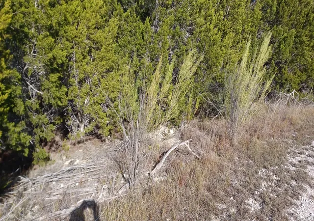Photo 3 of Land for sale at 405 Bluebonnet Breeze, Canyon Lake, TX 78133 | MLS# 1993122 | Listing updated on 2026-06-24