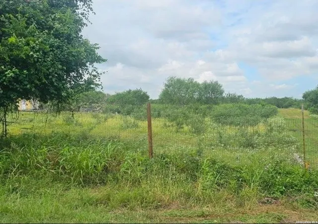 Land for sale at 13808 Lot 2 Greenwood Rd, Atascosa, TX 78002 | MLS# 1993580