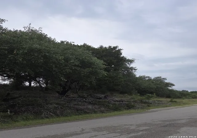 4th image of 714 Canyon Acres, Canyon Lake, TX 78133 | MLS# 1993742