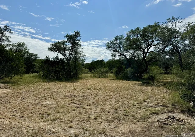 32nd image of Lot 10 Pr 2535, Mico, TX 78056 | MLS# 1993830