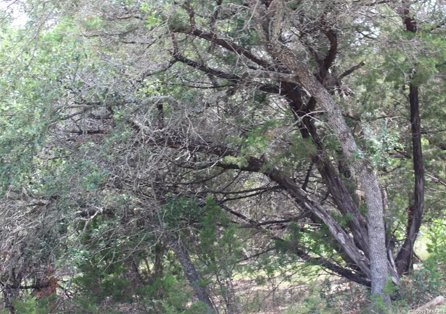 Photo 1 of Land for sale at Tbd Colleen, Canyon Lake, TX 78133 | MLS# 1993957 | Listing updated on 2026-07-03
